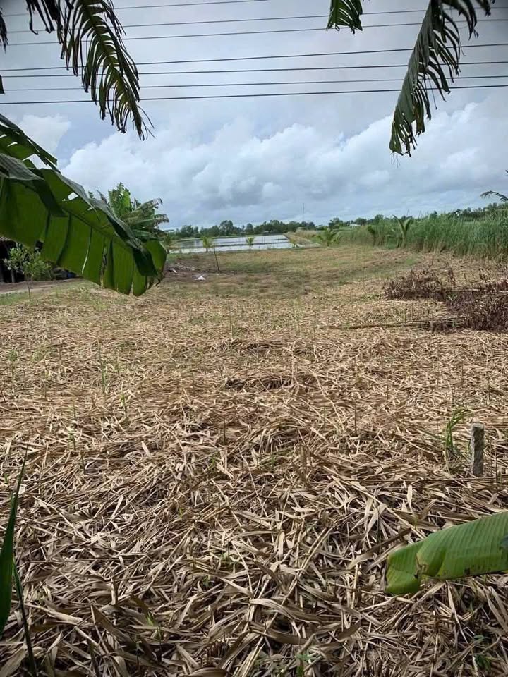 Đất nền Thị trấn U Minh, Cà Mau 327m² - Sổ đỏ chính chủ!