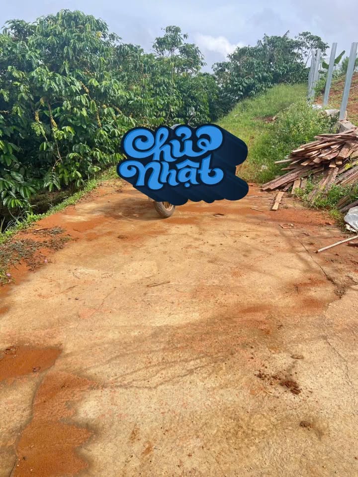 Đất vườn Lộc Đức, Bảo Lâm 6400m² - Sinh thái xanh, đầu tư tiềm năng