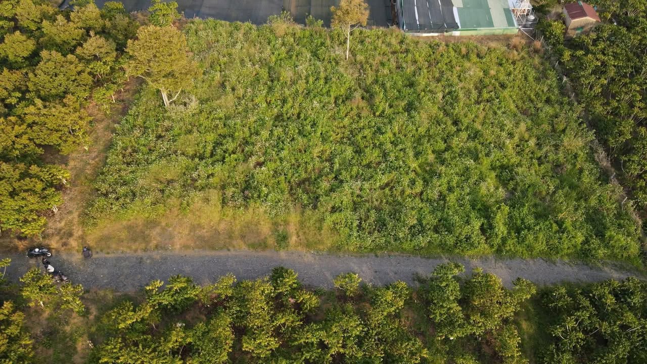 Đất nền Bảo Lâm 600m² - Sổ đỏ chính chủ, view núi Đại Bình tuyệt đẹp!