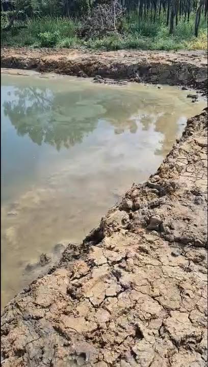 Đất Nền Gò Công 175m² Sổ Đỏ Thổ Cư - Giá Chỉ 3xx Triệu