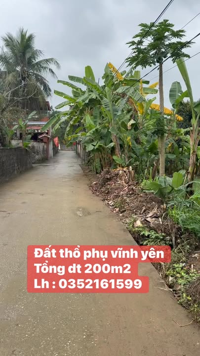 Đất nền 200m² Vĩnh Lộc, Thanh Hóa - Sổ đỏ sẵn sàng giao dịch