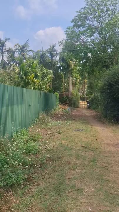 Bán Gấp Đất Vườn 3.5 Sào Đắk Lắk - 20 Cây Sầu Riêng Cho Thu Hoạch