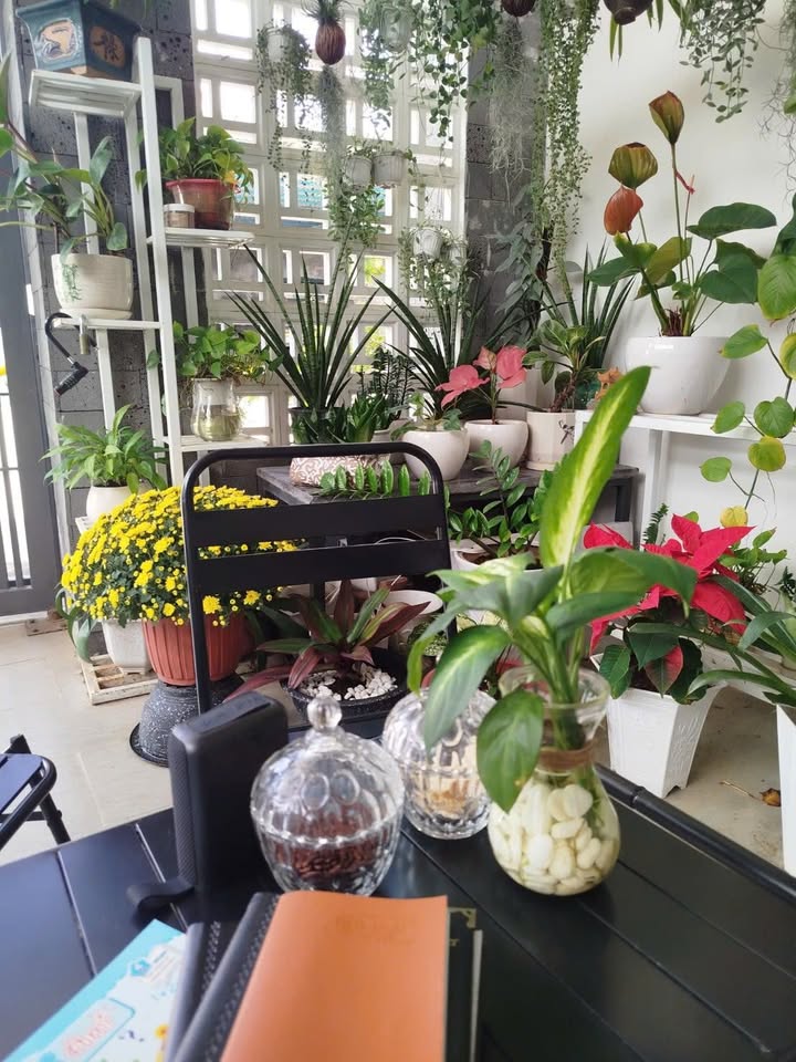 Cho thuê phòng trọ 27m² TP Quảng Ngãi - Giá chỉ 2 - 2.5 triệu/tháng