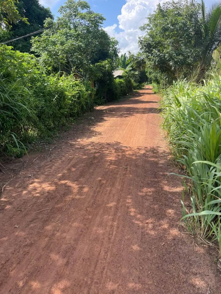 Đất nền xã Phan Dương Minh Châu 185m² full thổ cư - Sổ đỏ chính chủ