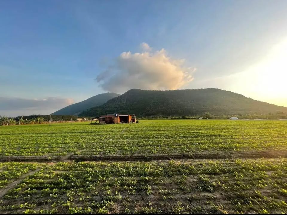 Đất nền Ninh Sơn, Tây Ninh 1000m² - View Núi Bà Đen, Xây dựng tự do!