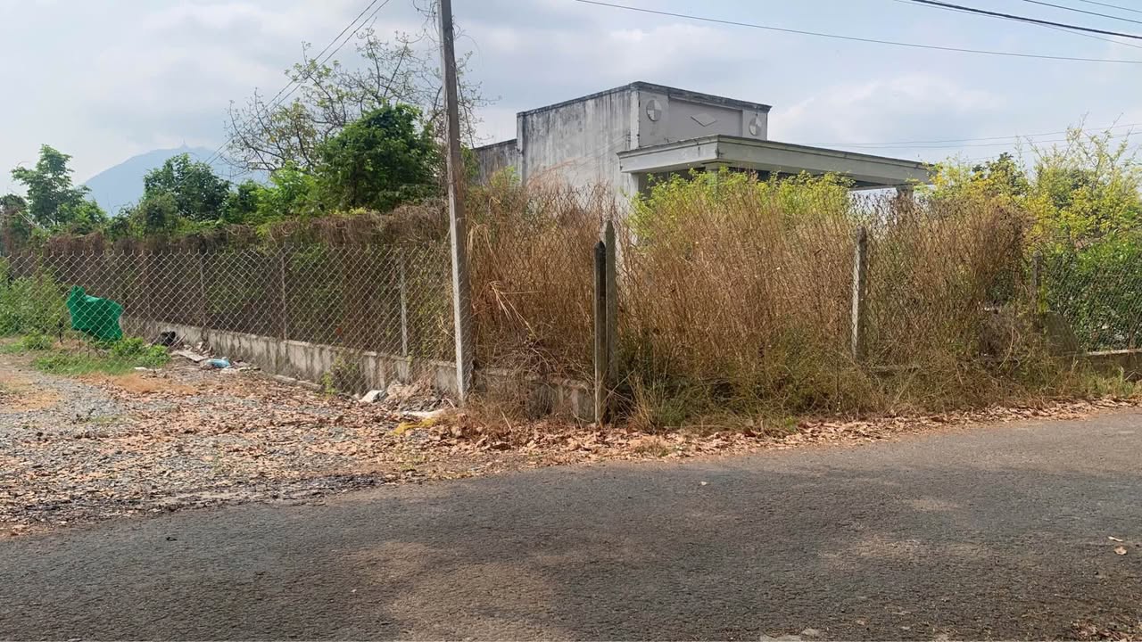 Đất Mặt Tiền Nhựa Tân Châu, Tây Ninh - Giá Tốt 420 Triệu