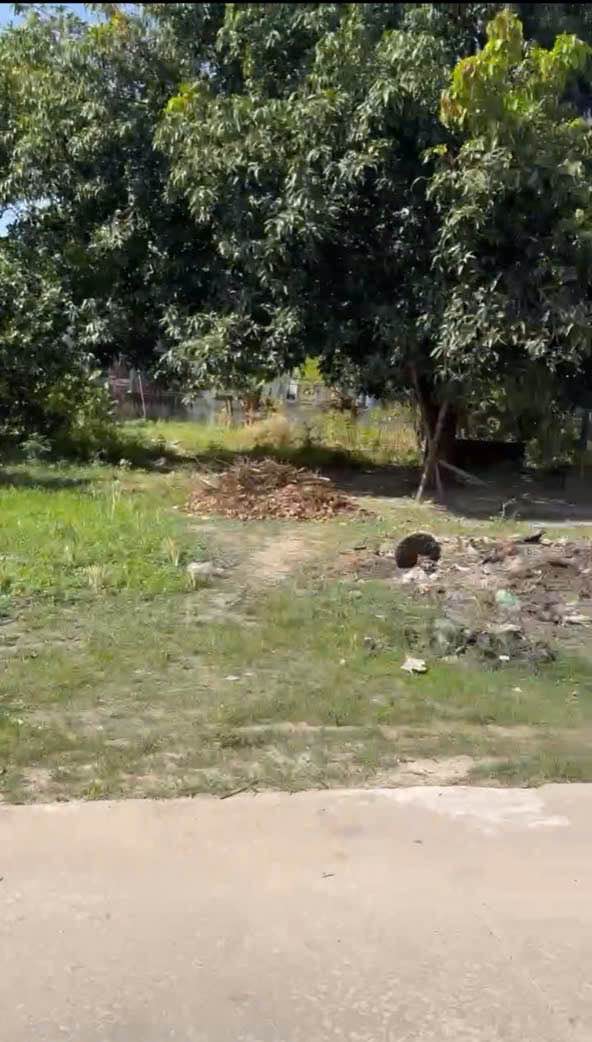 Đất nền Tân Ninh (Tây Ninh) 185m² - Đường thông ô tô, giá 2.8 tỷ