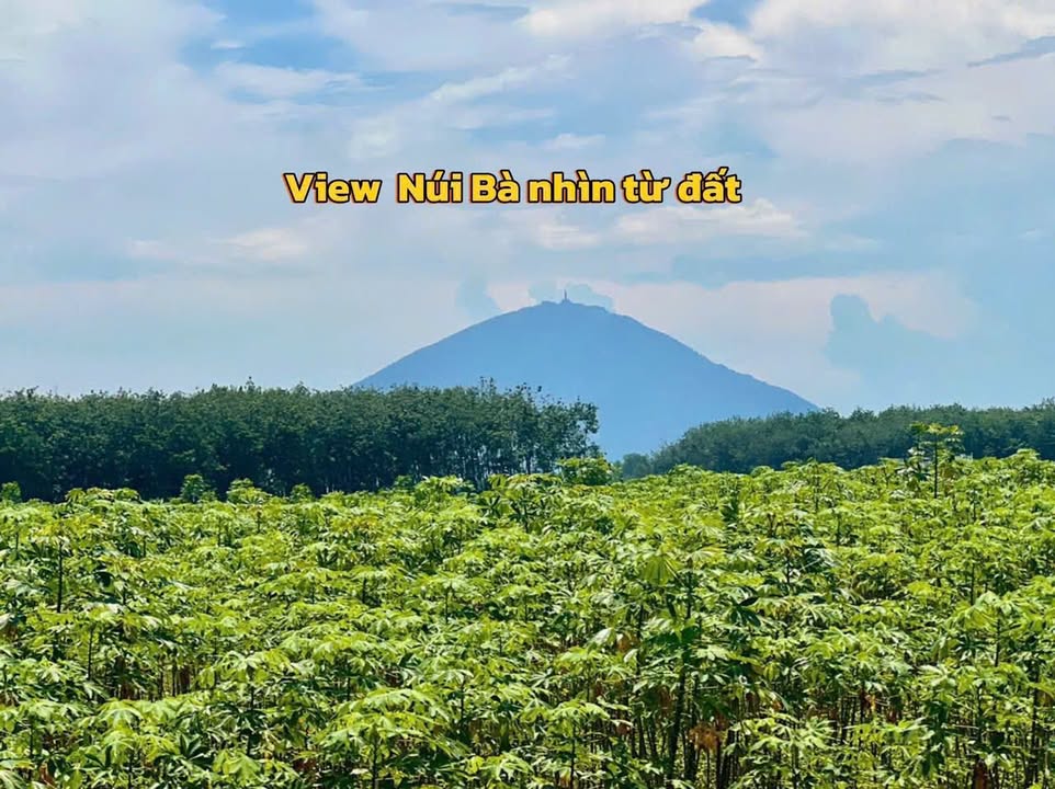 Đất nền Dương Minh Châu, Tây Ninh 135m² - Sổ đỏ chính chủ, công chứng ngay!