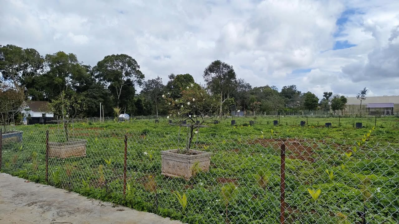 Bán đất thổ cư 82.1m² Ea Knuec, Krông Pắc - Sổ đỏ sẵn sàng