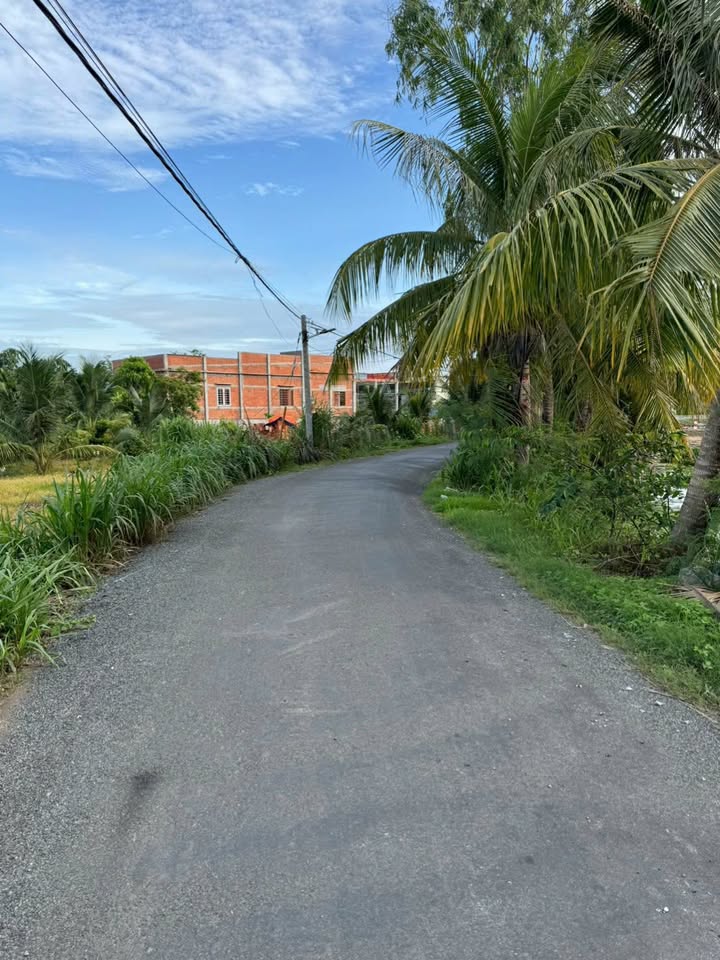 Đất Mặt Tiền Nhựa Xã Đồng Sơn, Gò Công Tây - 100m² Sổ Sẵn