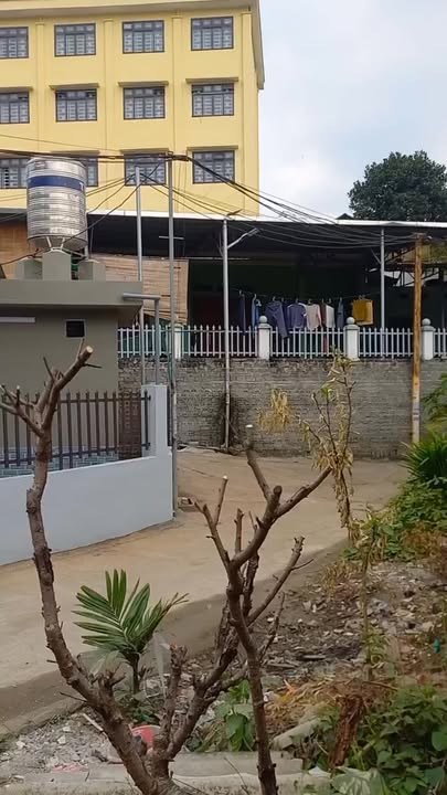 Nhà Vườn Cam Đường, Lào Cai 215.7m² - Sổ đỏ sẵn sàng, ô tô vào tận nơi!