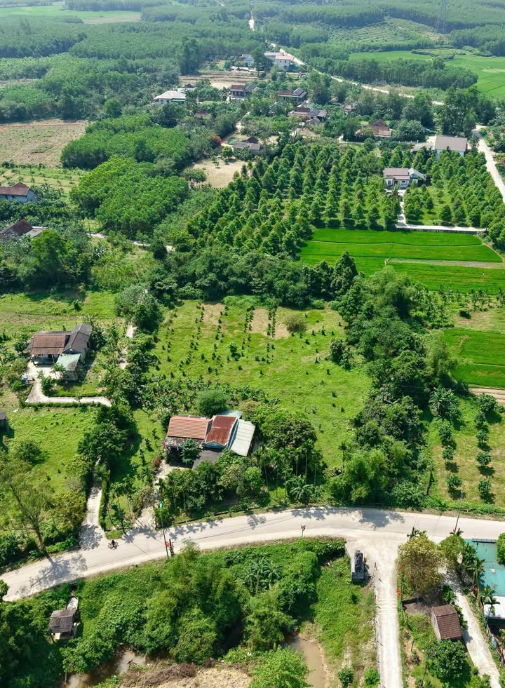 Đất nền Phong Điền, Huế 1238m² - Tiềm năng tăng giá vượt trội!