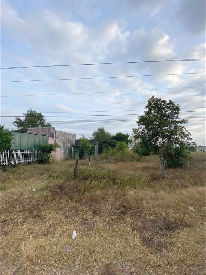 Đất nền Nguyễn Thông, Phan Thiết 100m² - Sổ đỏ chính chủ!