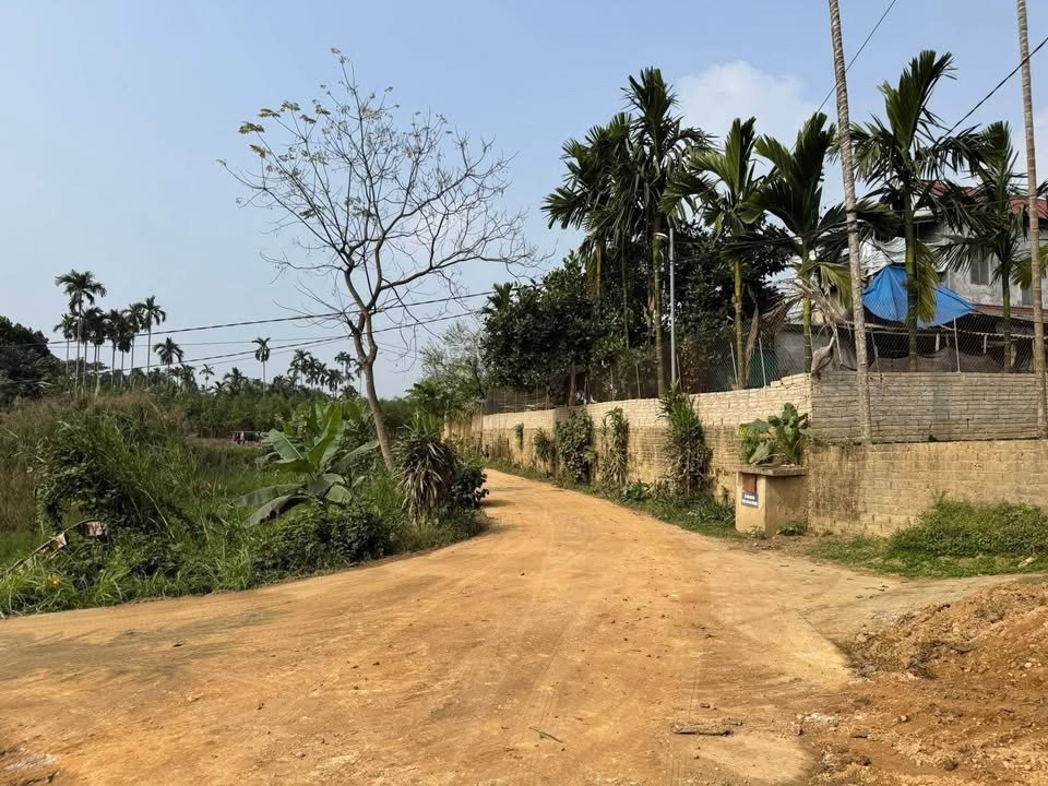 Đất nền Y Can, Yên Bái - 125m² giá chỉ 260 triệu, cơ hội đầu tư