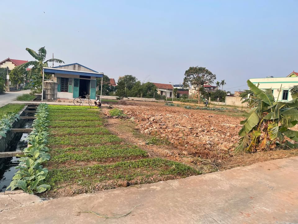 Đất nền Xóm 6 Nam Điền 80m² thổ cư - Sổ đỏ chính chủ, tiềm năng sinh lời!
