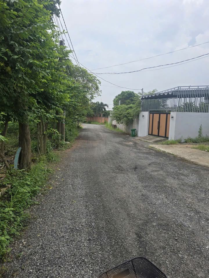 Đất nền Phường Phú Mỹ, Q7 145m² - Sổ đỏ chính chủ!