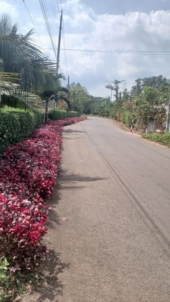 Đất nền Bình Ba Châu Đức 480m² giá 2.2 tỷ - Đường to ô tô cực đẹp