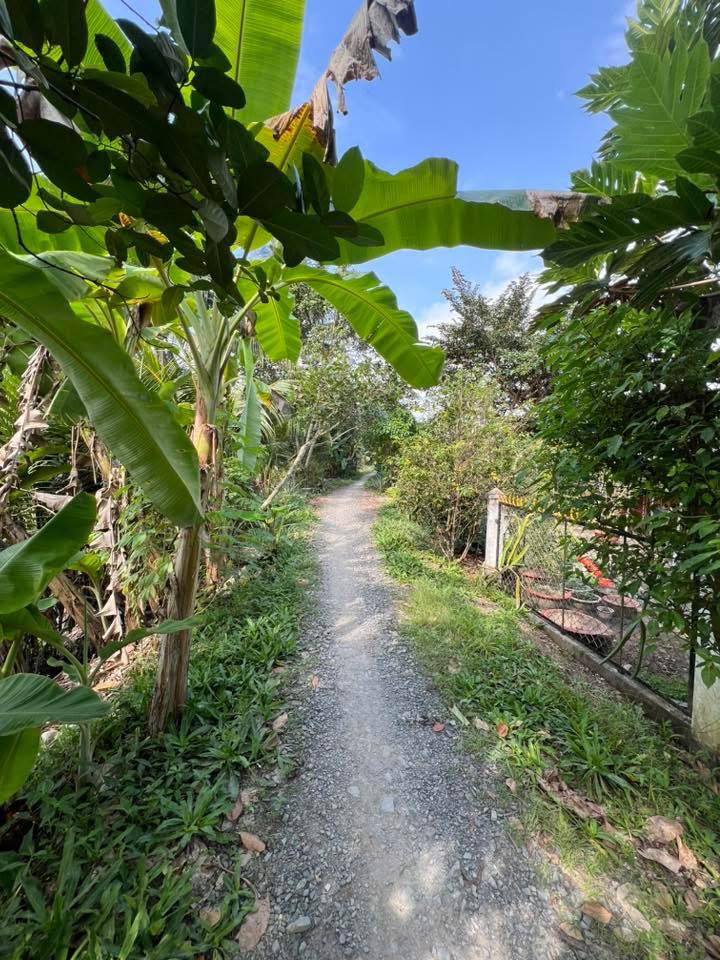 Đất vườn Phú Hữu 6000m² - Sổ đỏ chính chủ, đầu tư dài hạn!