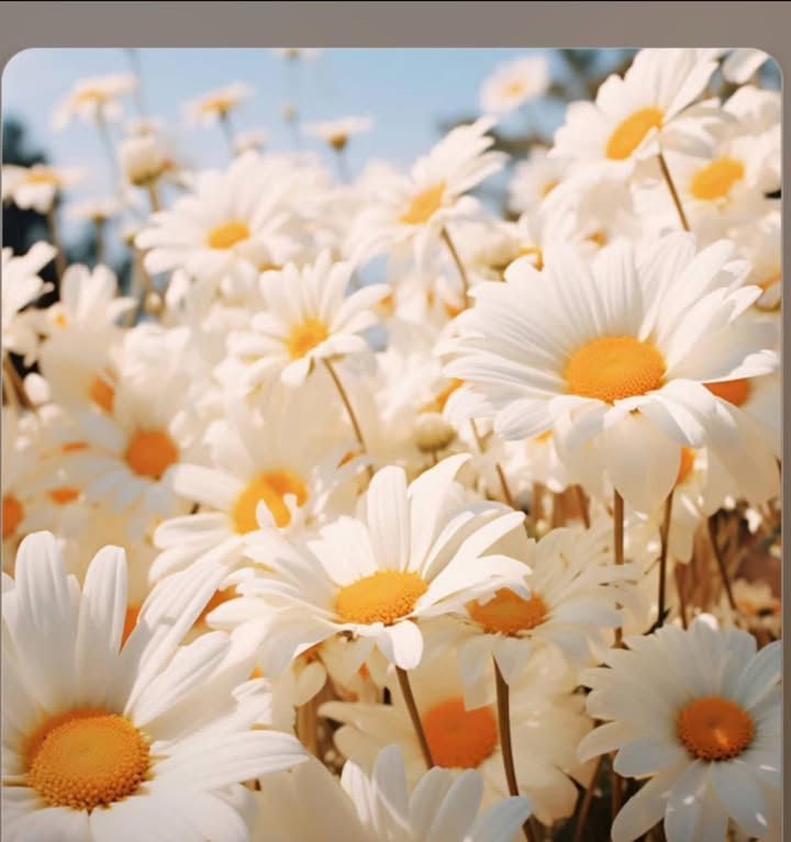 Nhà tiền chế Đông Phú 200m² 12 triệu/tháng - Ở ngay