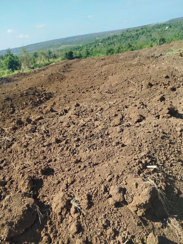 Bán Gấp Đất Vườn Ea Puk 4.8 Sào - Giá Đầu Tư 1.68 Tỷ