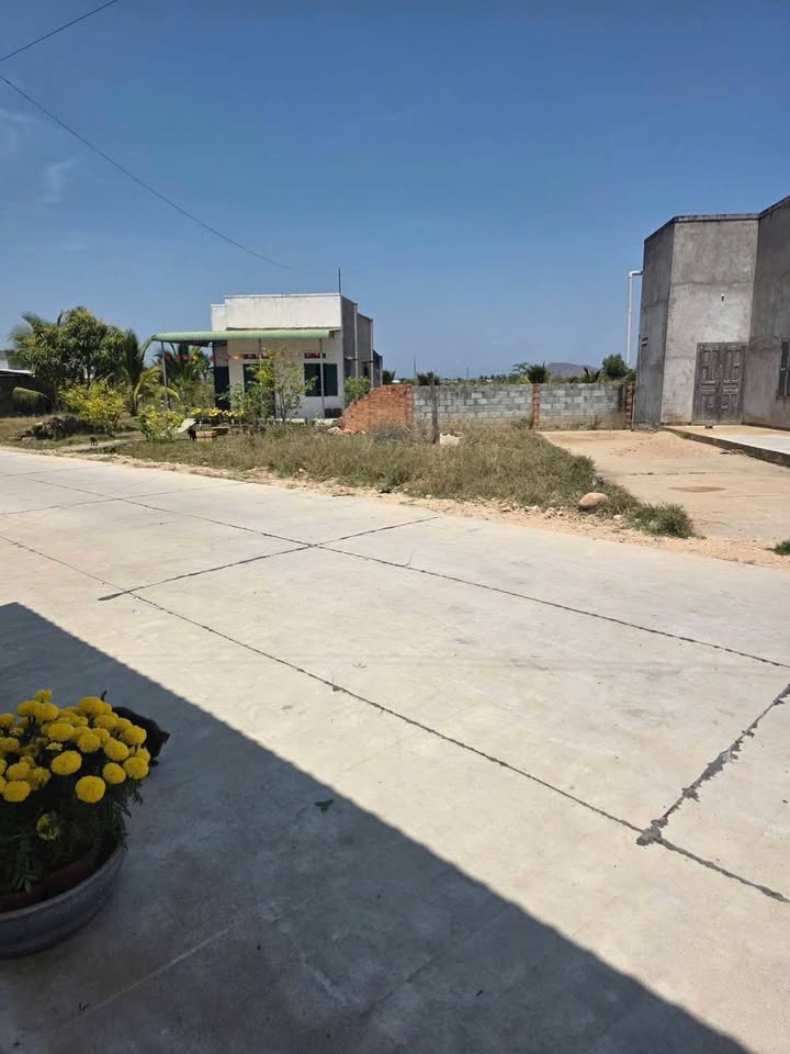 Đất Thổ Cư 173m² Mặt Tiền Pêtông Lớn Ma Lâm, Hàm Thuận Bắc - Giá Đầu Tư 470 Triệu