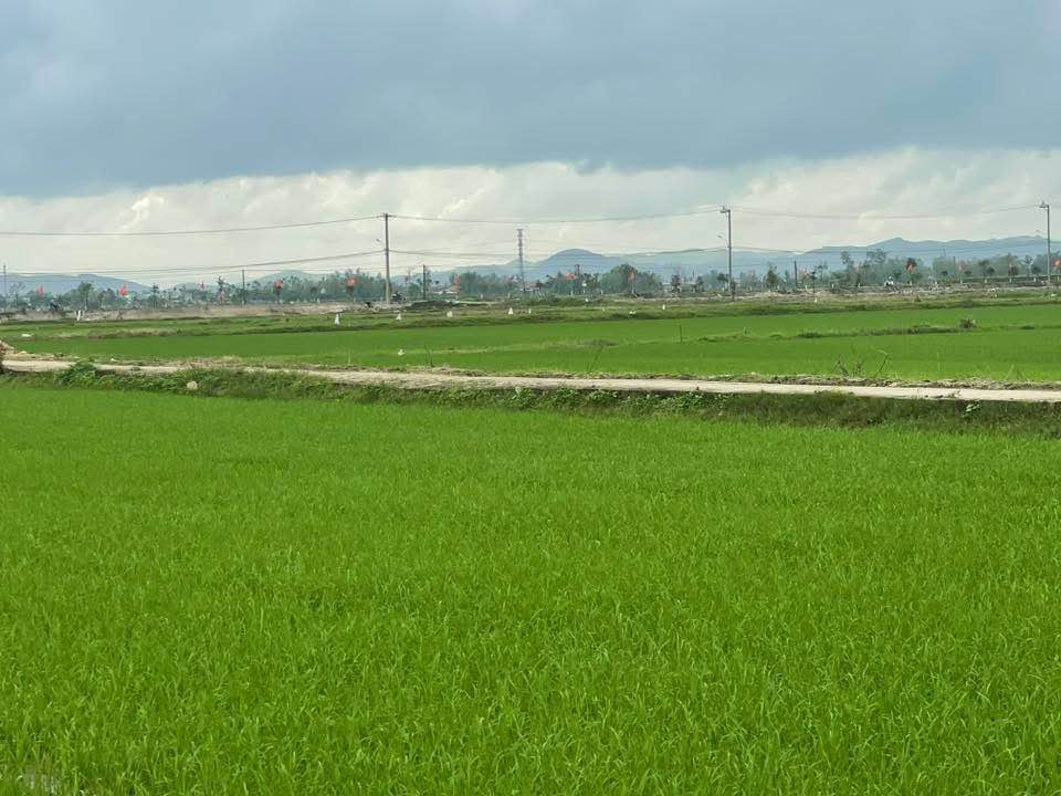 Đất nền Duy Phước 150m² giá 6xx triệu - Sổ hồng chính chủ!