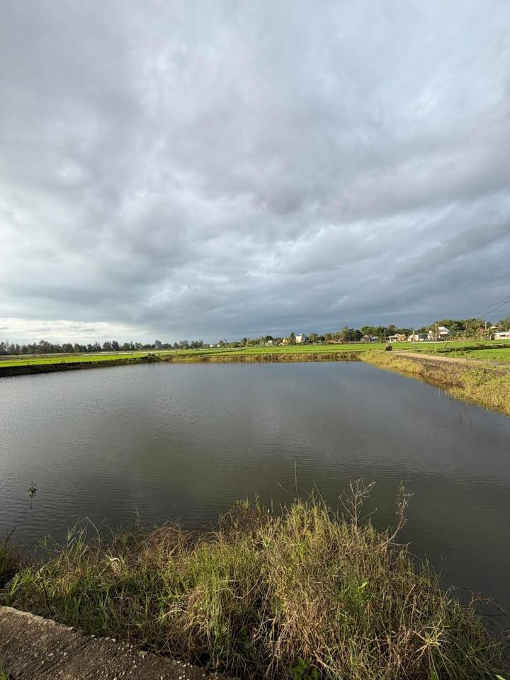 Đất Vườn Duy Nghĩa 252m² - Sổ Hồng Sẵn Sàng - Giá Đầu Năm 6xx Triệu