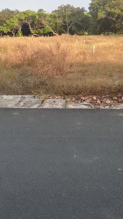 Đất nền Phước Tân, Xuyên Mộc 352m² - Sổ đỏ chính chủ 1.65 tỷ