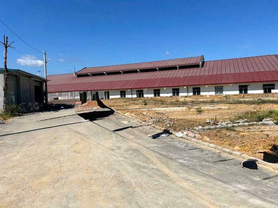 Bán Đất Vàng Trương Quyền Yên Bái 185m² - Sổ Đỏ Rõ Ràng, Giá Đầu Tư