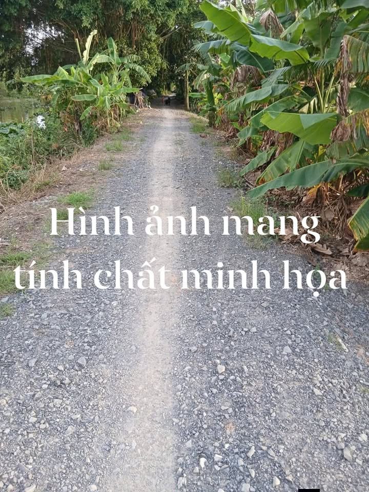 Đất vườn Đốc Binh Kiều, Đồng Tháp 13.000m² - Giá đầu tư tốt!