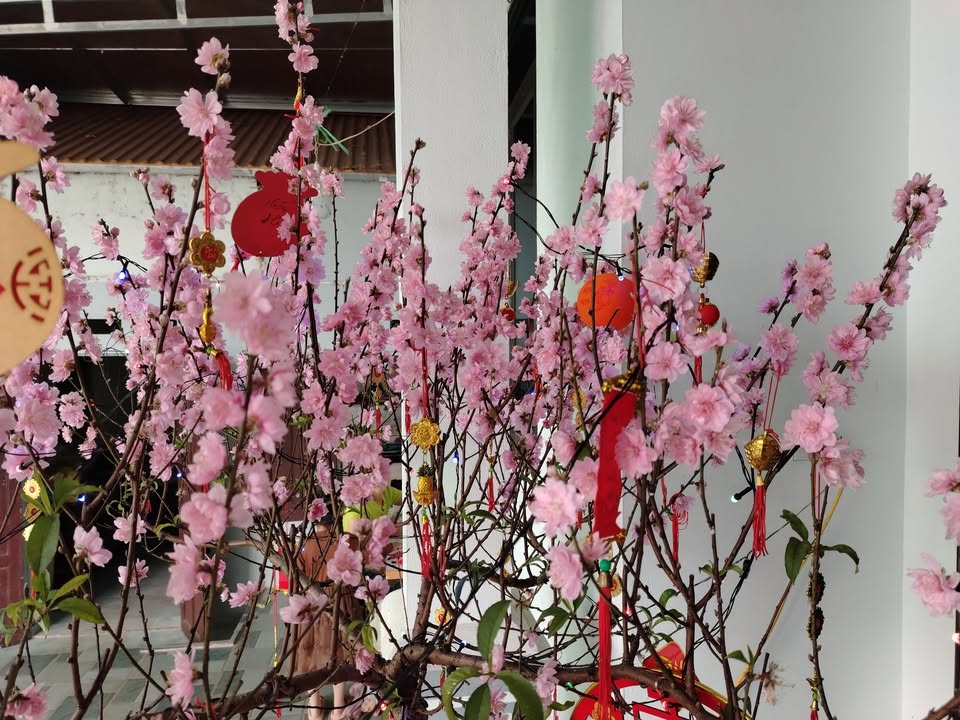 Đất Công nghiệp 55.000m² Thanh Hóa - Sổ đỏ, Miễn thuế 15 năm