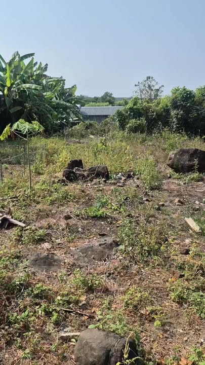 Đất nền Đá Bạc Châu Đức 252m² giá 1 tỷ - Đất thổ cư 100%!