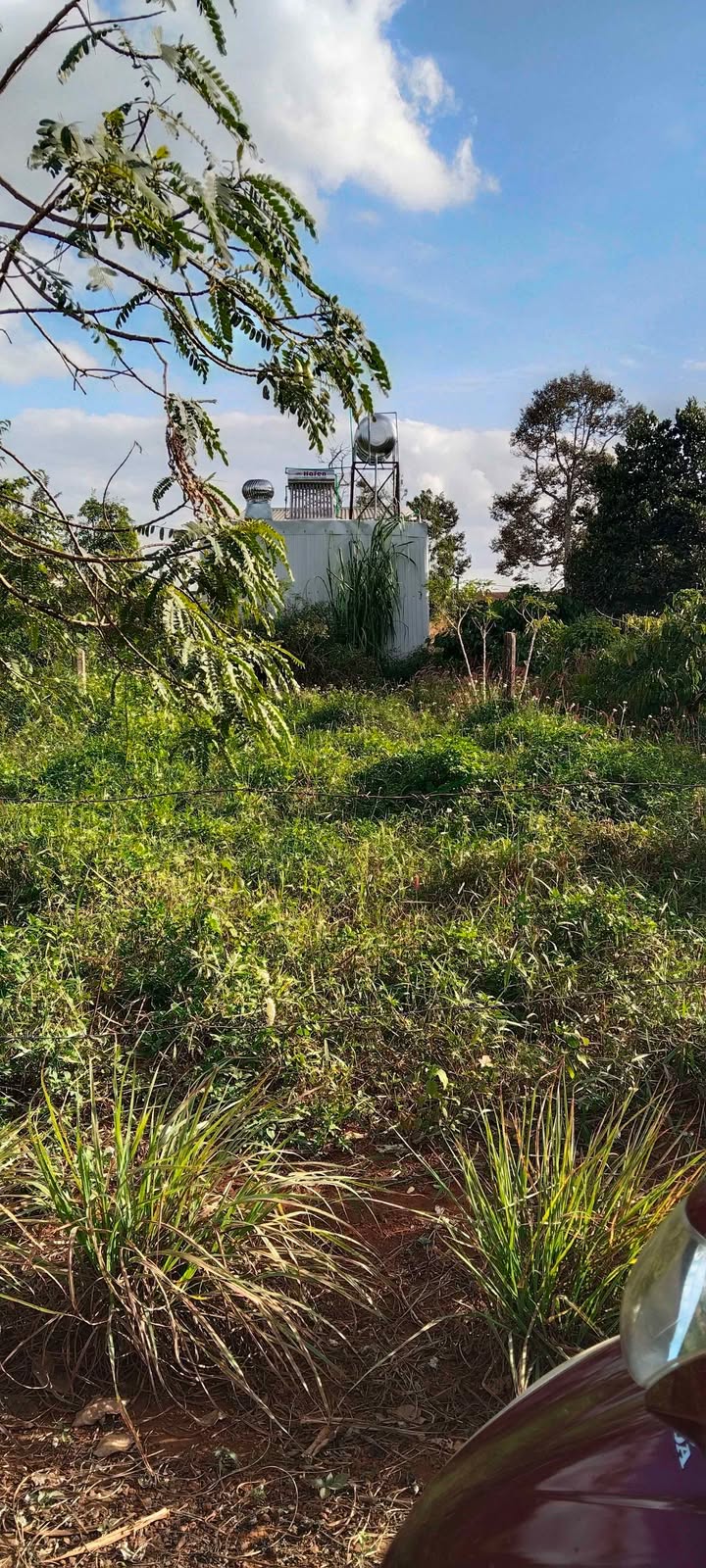 Đất nền Hẻm Tô Hiệu Pleiku 265m² - Đất thổ cư 100%, pháp lý rõ ràng!