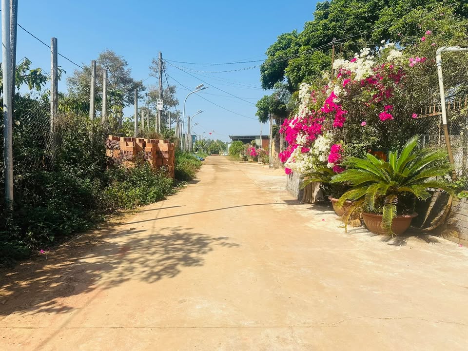 Đất Nền Hẻm Văn Cao, Pleiku - 150m² Hướng Nam, Giá 590 Triệu