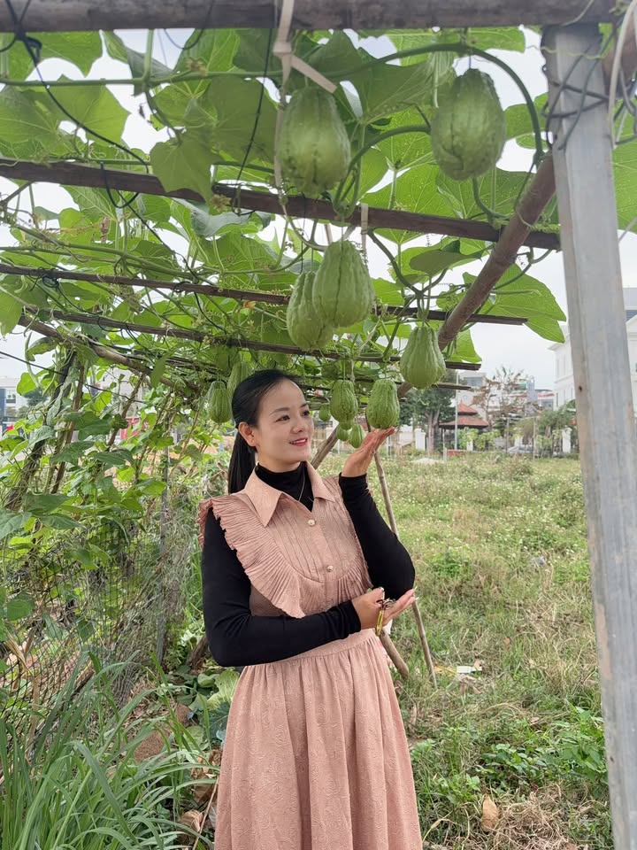 Đất nền Đồi Ngô Lục Nam 72m² giá 3.3 tỷ - Sổ đỏ chính chủ