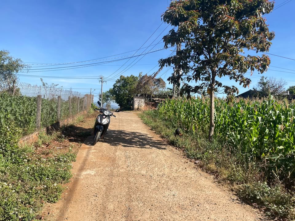 Đất nền Bùi Viện An Phú 125m² - Đường to ô tô