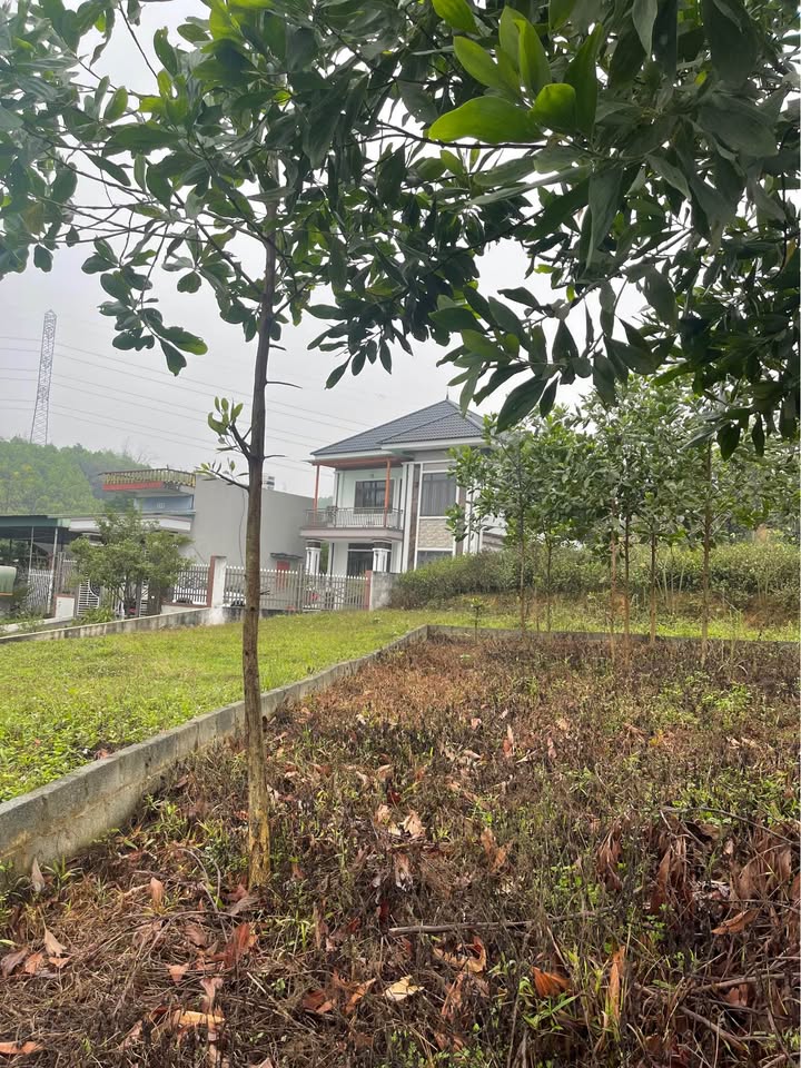 Đất nền Vô Tranh Thái Nguyên 120m² – Sổ đỏ chính chủ, tiềm năng đầu tư