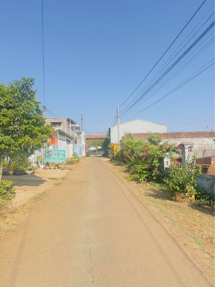 Đất Nền Pleiku 250m² - Sổ Đỏ Vuông Vắn, Gần Trường Học