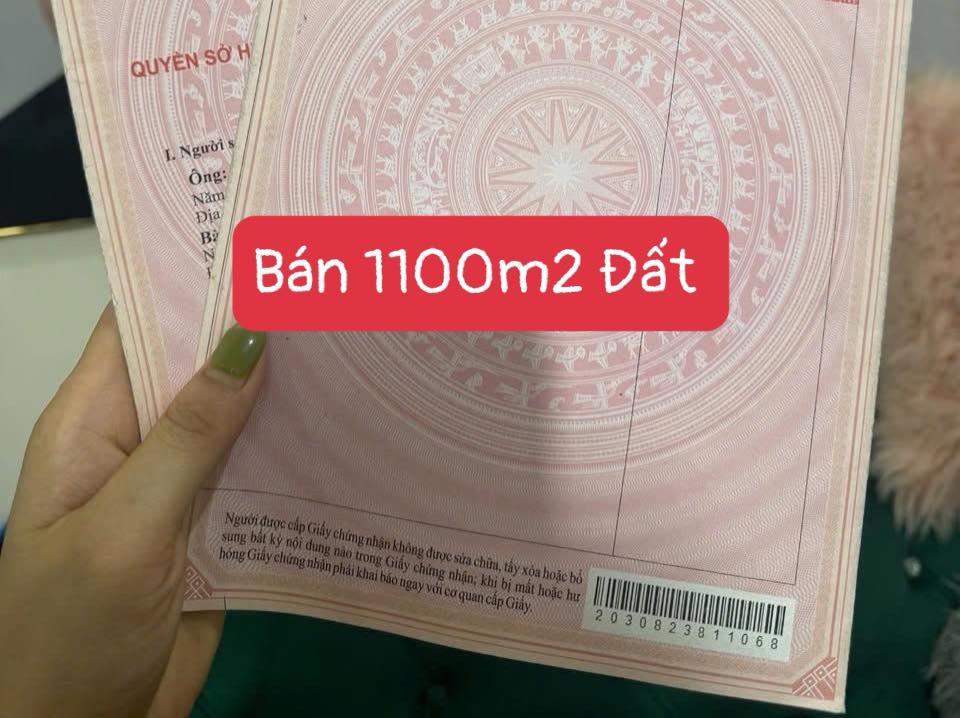 Bán đất vườn Hòa Khương 1100m² - Nghỉ dưỡng lý tưởng, sổ đỏ sẵn sàng!