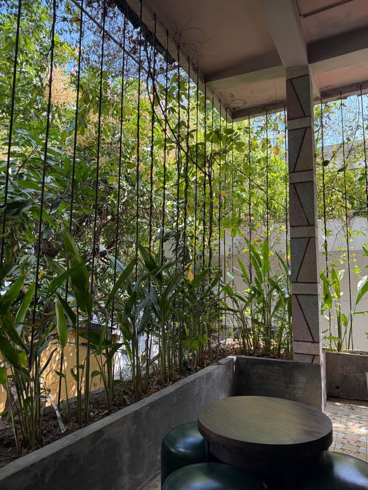 Đất Vườn Đà Nẵng 160m² - Mặt Tiền 8m Đường Hòa Cường, Hải Châu - Giá 12 Tỷ