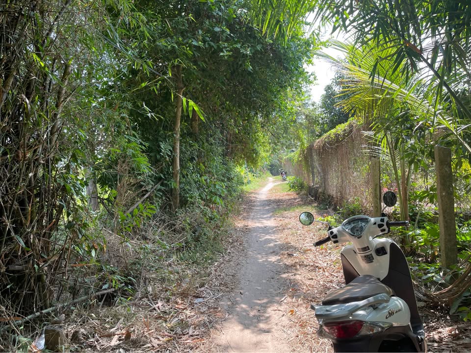 Đất nền Nhà Bàng 7200m² giá 800 triệu - Tiềm năng tăng giá!