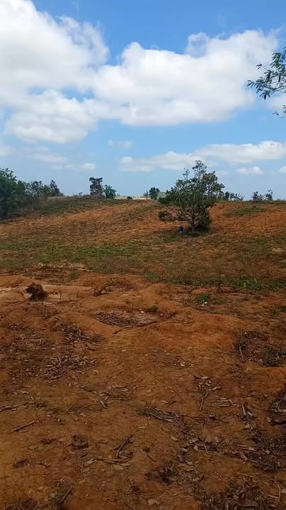 Đất Vườn Ea Sar 3420m² - Giá Đầu Tư Tốt!