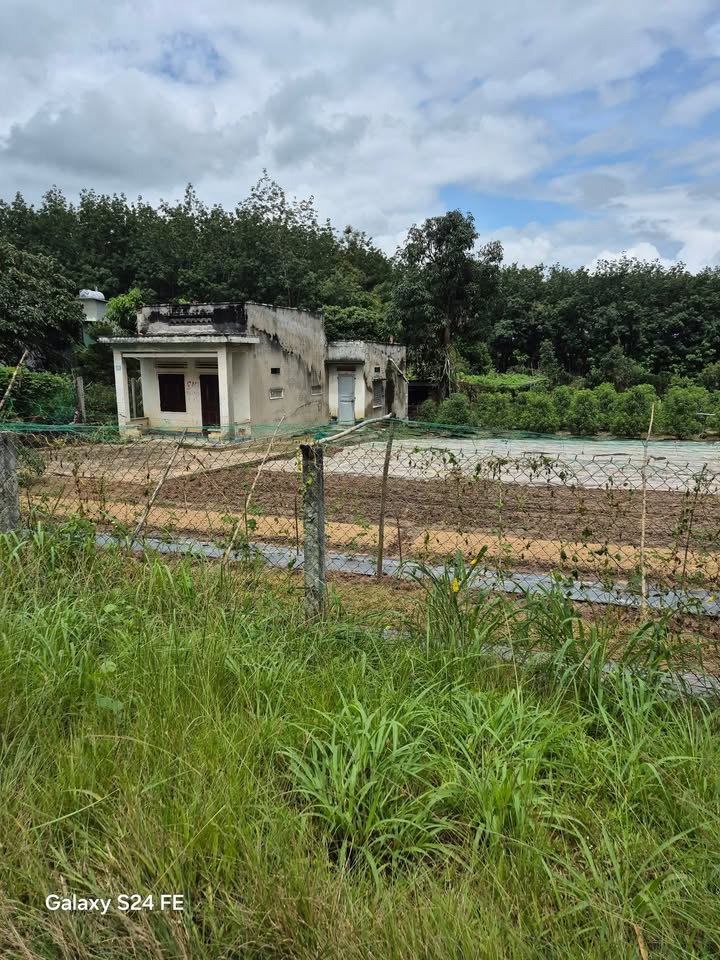 Đất nền 1200m² mặt tiền A Khanh, Kon Tum - Giá đầu tư 1 tỷ xxx