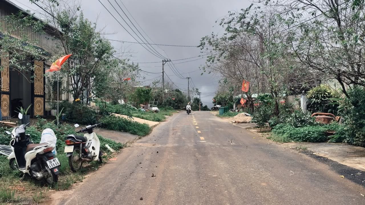 Đất Nền Măng Đen 182m² - View Rừng Thông, Giá 5.05 Tỷ