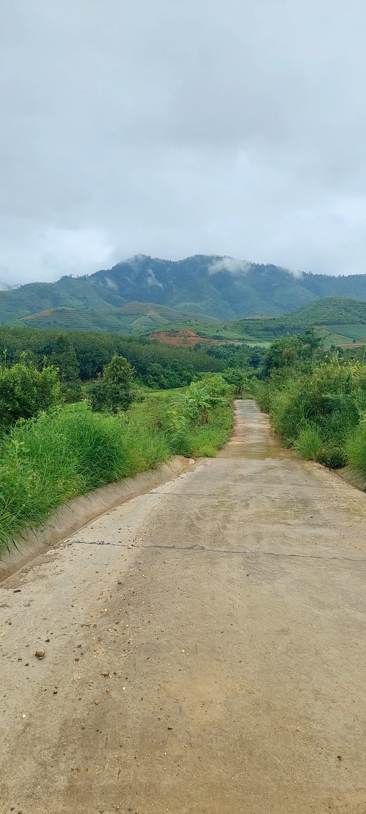 Đất Nền Kon Tum 2ha Thôn 10 Đắk Ruồng - Sổ Đỏ Chính Chủ