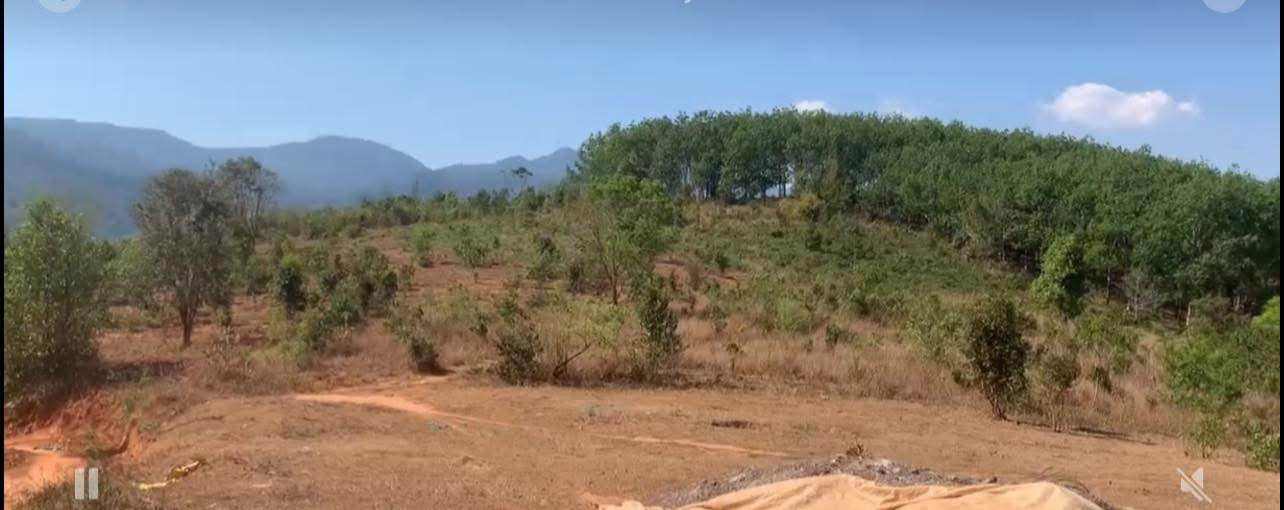 Bán 3400m² Đất NN Đăk Trăm, Đăk Tô - Sổ Đỏ Riêng, Giá Chỉ 2xx Triệu