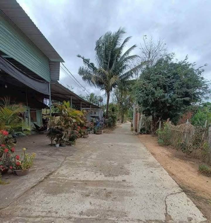 Bán Đất Thổ Cư 270m² Xã Đoàn Kết, Kon Tum - Giá Chỉ 2xx Triệu