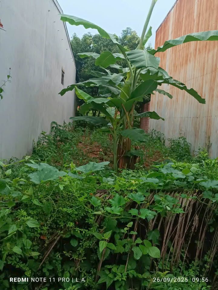 Đất nền Phường Lê Lợi Kon Tum 120m² - Đất thổ cư 100%