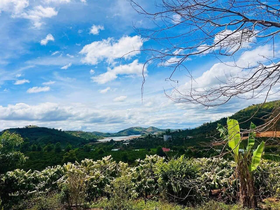 Đất nền Đắk Blô, Kon Tum - 1000m² view hồ, giá 199 triệu/sổ