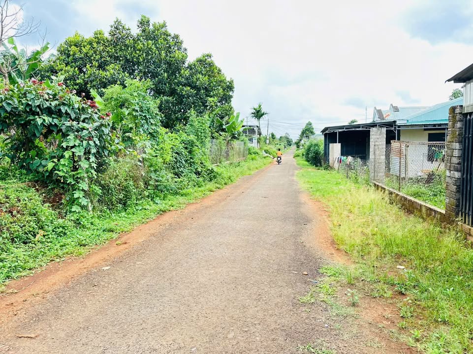 Đất Nền KDL Sinh Thái Đồi Thông, Pleiku - 125m² Giá 650 Triệu